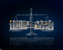 �������꼶�ϲ�����뷨����Ҫ֪ʶ����ܣ�PDF�ĵ����ٶ�����