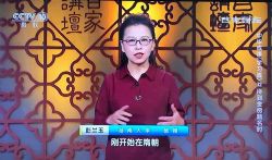 2020百家讲坛中华成语学习篇(播讲:湖南大学彭兰玉教授)