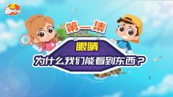 С����ϵ�У�̽��������أ�������Ƶ���ٶ�����