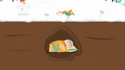 小灯塔系列:给孩子的植物启蒙课(高清视频)百度网盘