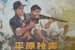 ���﷼����ƽԭǹ����ȫ60�أ�