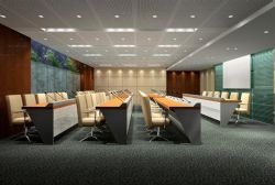 明会议解读(完结)(千聊)