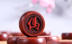 象棋乐乐象棋讲座(标清flv视频)百度网盘保存