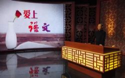 2020百家讲坛爱上语文(播讲:杭州师范大学王崧舟教授)