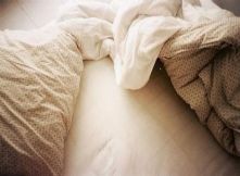 38�ȵı���������