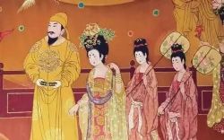 ���﷼��������䣨ȫ50�أ�