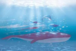 阿米-宇宙之心(睡前故事)