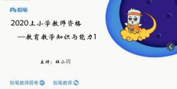 2020年上半年小学教师资格证笔试课程(高清视频)百度网盘