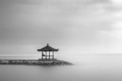 ���������˸�̶����ְ���ǻۣ�����FM��