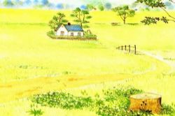 �������ֽ����� - ��ľ�汾������ϵ��