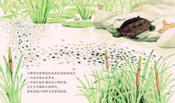 �������ֽ����� - �ѹ�Ӣ��ѧ�汾