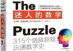 迷人的数学:315个烧脑游戏玩通数学史xg