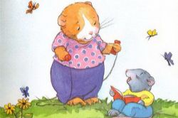 �������ֽ����� - �ҵĸо�