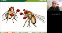 ��;��һ�����쾩���ٰࣨ������Ƶ���ٶ�����