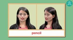 图样大脑凯叔原版小学单词自然拼读课(高清视频)百度网盘