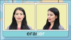 图样大脑凯叔小学单词全记牢(高清视频完结)百度网盘