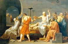 ��������ѧ���ǻۡ�����ᣩ��A��Ұ��