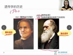 ���������ϼ���89.9G������Ƶ���ٶ�����