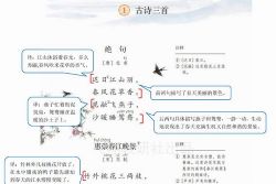 飞翔三年级语文数学英语下册 百度网盘保存