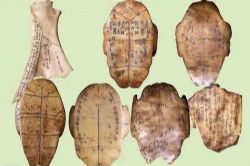 解码汉字之王朝名称有讲究(张一清)(8集)