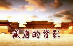 盛唐的背影(韩升)(25集)