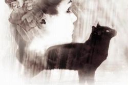 九命猫(艾宝良)(23回)