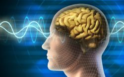 ���Դ�������