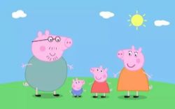 �ۺ���������װ