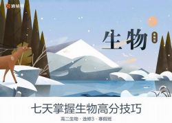 Գ����2019�߶�����ϵͳ���������������Ƶ���ٶ�����