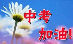 中考总复习课件(1.4G压缩打包课件)百度网盘保存