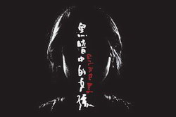 午夜拍案惊奇之黑暗中的女孩(艾宝良)(11回)