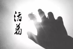 活着(仲维维)(21回)