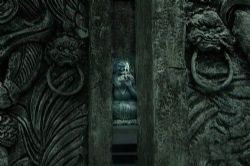 古墓迷符(大灰狼)(39回)