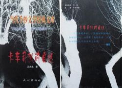 卡车司机的自述(岳峰)(35回)