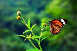 ��Ȼ��ѧͯ��֮��