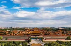 �������Ƿ���