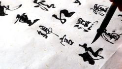 2014年百家讲坛探秘中国汉字(赵世民)