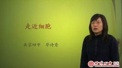 北京四中网校高一生物(高清视频)百度网盘