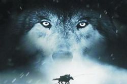 ��ͼ��(��沿���ݲ�)��89��ȫ��