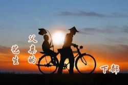 孙岩评书:父亲的艺生下部(210回)