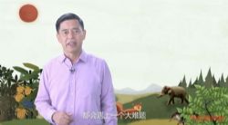 沈石溪的作文技巧课 5招写出好作文(高清视频)百度网盘保存