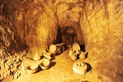 2015��ټҽ�̳���Ǻ�Ĺ