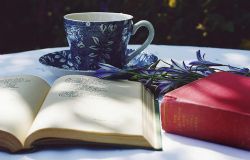 ����ȫ�����100�����ڶ���������ᣩ��ϲ�����ţ�