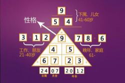 无为子一天学会数字算命(完结)