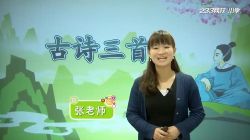 233网校人教版小学四年级语文下册(小莹老师79讲)(高清视频)百度网盘保存