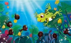 ��������Ķ��꼶����������ʶ�