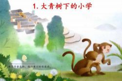 ������������꼶����������ʶ�