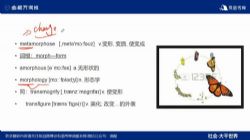 �е�����Ӣ����ʰ������ֱ���Σ�����Ƶ+���壩��������Ƶ���ٶ�����