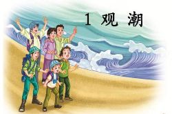 ������������꼶����������ʶ�