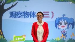 233��У�˽̰�Сѧ���꼶��ѧ�²ᣨͿ����34������������Ƶ���ٶ�����